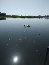 Benutzerfoto handwear11