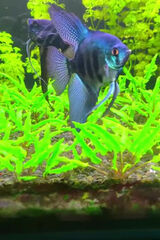 Fotka uživatele adawie6069