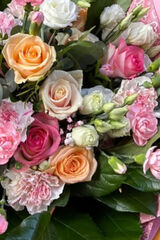 Benutzerfoto kszlachta248