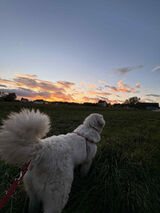 PhotosPawelWisniewski294