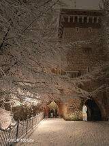 Benutzerfoto bart99995