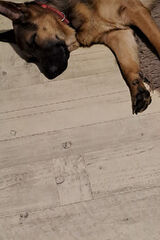 Foto pengguna Fsgfsg