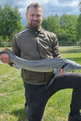 Zdjęcie użytkownika rafalkurek187