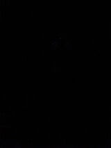 Zdjęcie użytkownika MarekSwiatowski