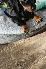 Photos aljazzz323277