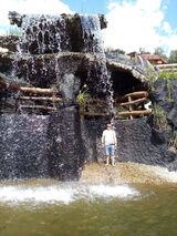 Zdjęcie użytkownika misiek2629