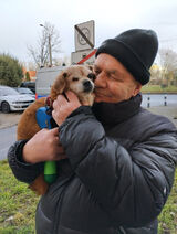 Benutzerfoto mieczyslawpsiarski