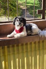 Zdjęcie użytkownika wesolek7819