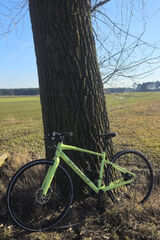 Foto utilizatorului OpolskaOla