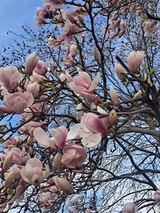 Фотография пользователя kubpruchnatalia