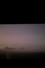 Фото користувача alienslough