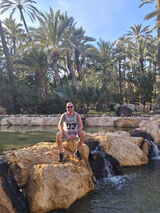 Фотография пользователя abmerlukasz