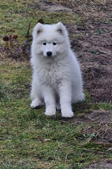 Фотография пользователя agnesmamabee