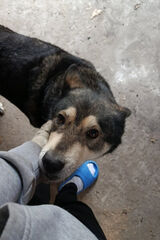 Foto pengguna GregiToJa