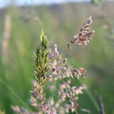 Zdjęcie użytkownika Wiki24250703