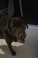 Benutzerfoto Adamkowalski2008