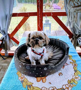 Benutzerfoto bodzio1978