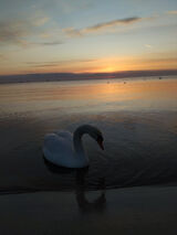 Fotka uživatele KasiaZ2003