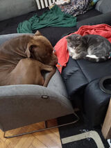 Фото користувача AlanBKG