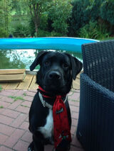 Zdjęcie użytkownika wisar69