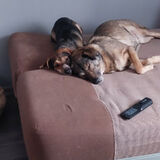 Photos ewelinawojtasiak