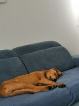 Zdjęcie użytkownika Dswidek922