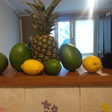 Zdjęcie użytkownika PanRoman1987