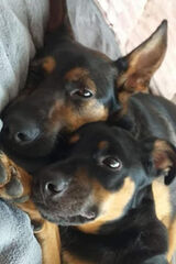 Zdjęcie użytkownika Endorfii