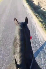 Benutzerfoto Dawidw88