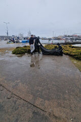 Benutzerfoto ducbogumil