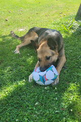 Zdjęcie użytkownika Krzysztof2501