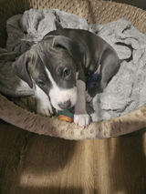 Foto pengguna marian30011984