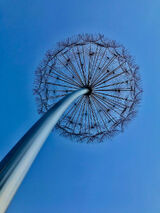 Benutzerfoto Krowkamrowkai