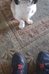 Zdjęcie użytkownika marekdepczynski70