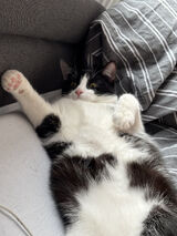 Benutzerfoto mmmosiaa