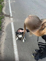 Zdjęcie użytkownika Julciakor