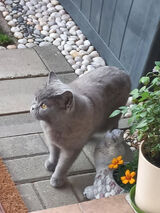 Фото користувача kamil20020