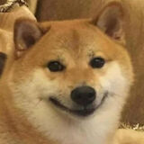 Foto pengguna adamox1204