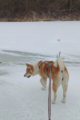 Zdjęcie użytkownika bartlow007