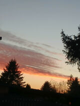 Fotos Magdalena43210