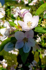 Zdjęcie użytkownika Nieoczywista