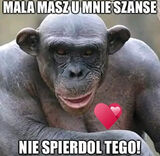 Zdjęcie użytkownika PrzemoPrzemko1983