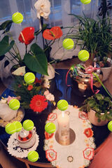 Foto utilizatorului u8331962970