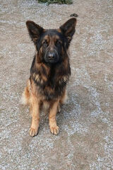 Zdjęcie użytkownika maragkos73