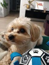 Fotka uživatele Sebik1906