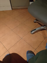 Photos hbbjnnnhoryzont