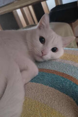 Фотография пользователя wysuuu