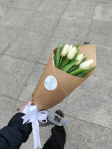 Benutzerfoto Shamil2102