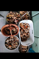 Fotka uživatele Krzysiek42