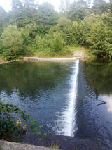 Zdjęcie użytkownika wisar69